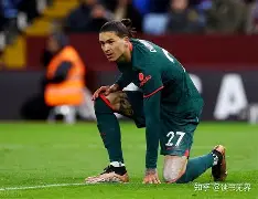 平博登录-勒沃库森新帅